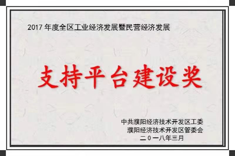 支持平臺建設獎